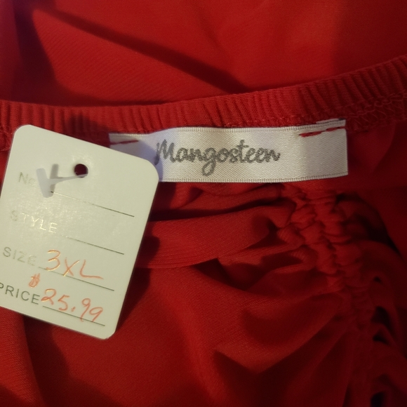 Red Mesh Top - Picture 2 of 7